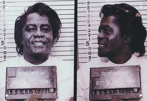 James brown celebrity mugshot - james,