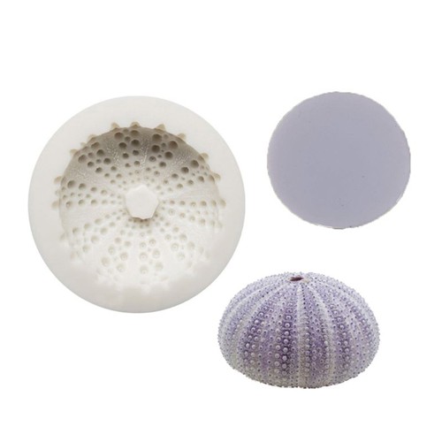 Sea urchin shell - sea,