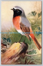 R765460 Redstart Bird R S Art Press R S Series Roland Green