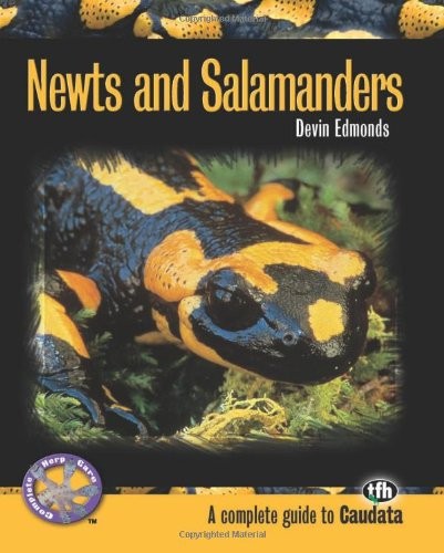 Newts and salamanders - newts,