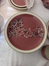 Denby Pottery Dinner Plates X