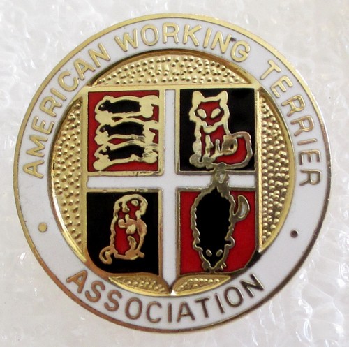 American working terrier - working,