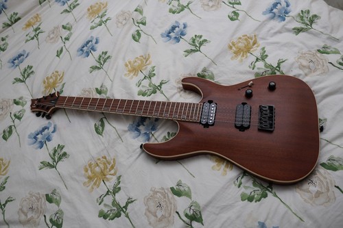 Esp ltd h401 - esp, electric