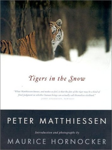 Tigers the snow paperback - in,