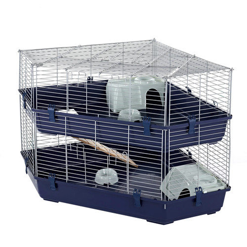 Little friends rabbit - friends, guinea