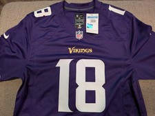 Nike NFL Minnesota Vikings