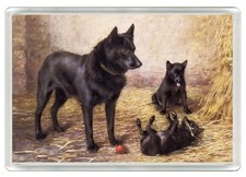 SCHIPPERKE DOG FRIDGE MAGNET