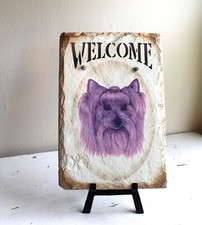 Hand Painted Slate Welcome