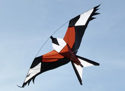 Red hawk kite kits bird - kite,