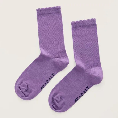 Seasalt socks scallop sailor - socks,