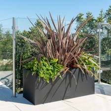 Zinc Metal Black Planter Plant