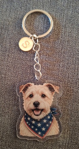 Norfolk terrier acrylic - norfolk,