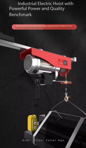 Mini electric hoist - electric, 220v