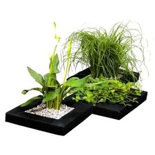Floating pond plant - baskets,