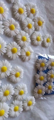 Detailed delicate daisies - 30,