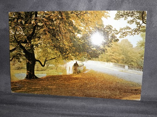 Clumber park mansfield 30257 - park,