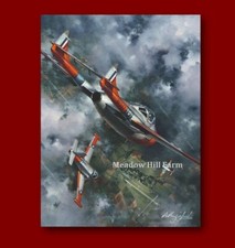 Fridge Magnet RAF De Havilland