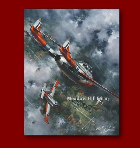 Fridge magnet raf havilland - de,