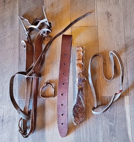 Vintage leather horse spur - vintage,