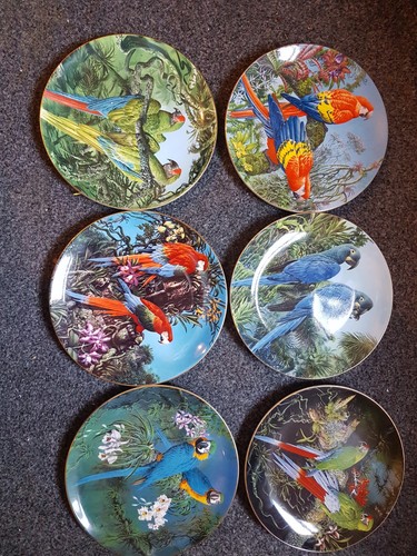 Bone china plate - china,