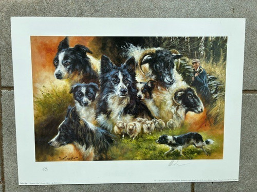 Mick cawston signed limited - cawston,