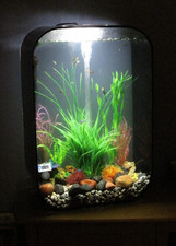 Black Biorb Life Portrait 60L