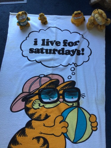 Garfield rare soft toy - rare,