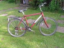 Raleigh Max Chromo Men's bike