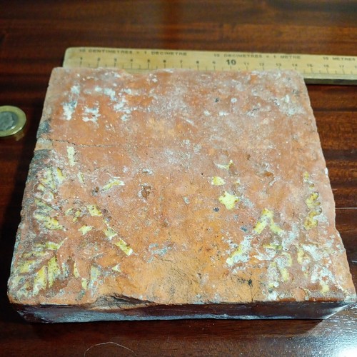 Medieval tile shield - medieval, emblem