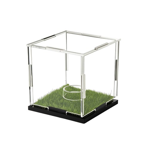 Display case with turf base - display,