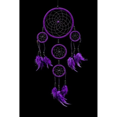Purple dreamcatcher wall - purple,