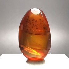 4.54ct Burmese Amber w. Insect