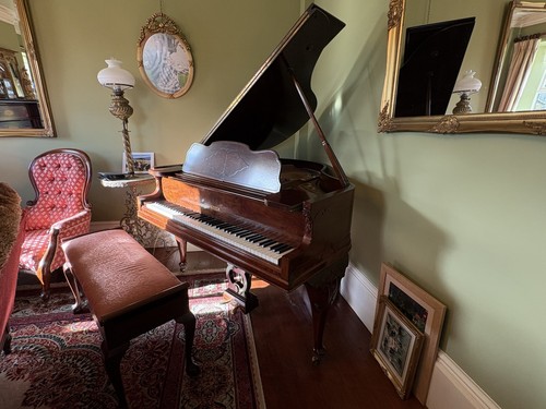 Steck baby grand - baby, piano
