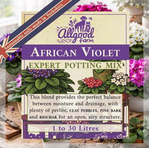 African violet expert potting - violet,