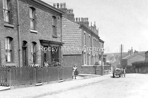 Csa donkey cart - cart, corner