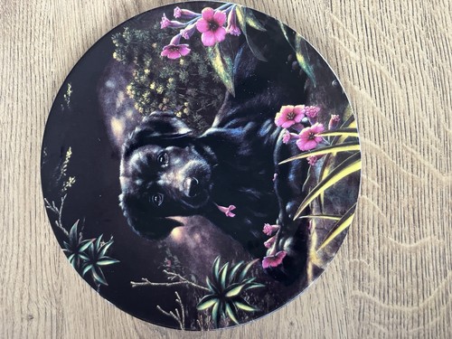Wedgwood danbury mint black - wedgwood,