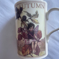 Flower Fairies Of The Autumn