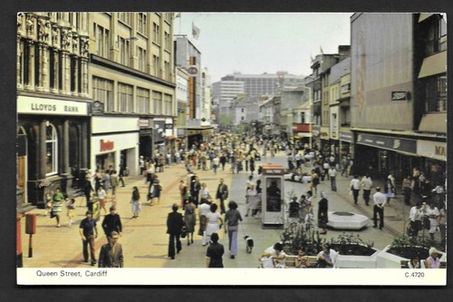 Vintage rppc photocolour - vintage,
