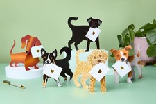 3D Dog Cards Pack of 5 |