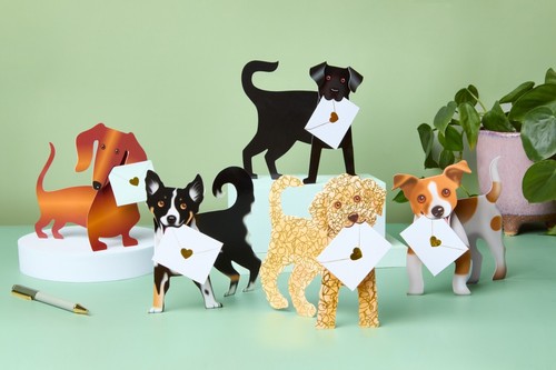 Dog cards pack - cards,