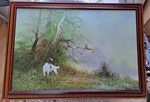Spaniel pheasants hunting - spaniel,