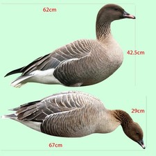 Pinkfoot goose decoys