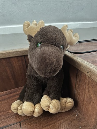 Moose soft plushy toy - plushy, kids