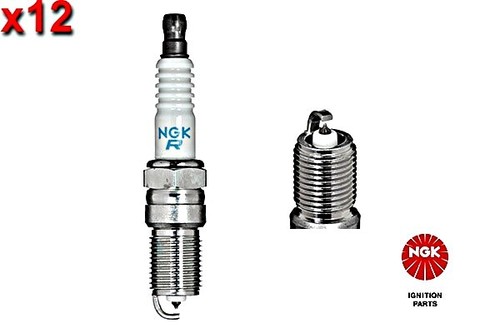 12x spark plug ngk - spark,