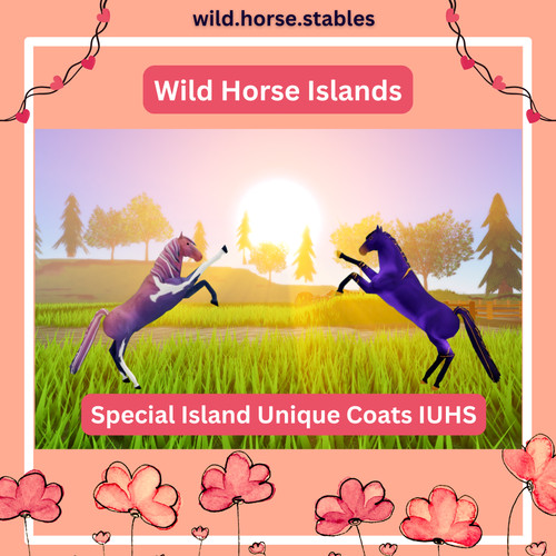 Wild horse islands iuh - horse, siuc