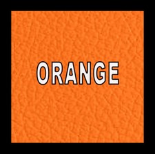 Leather Vinyl Dye Stain