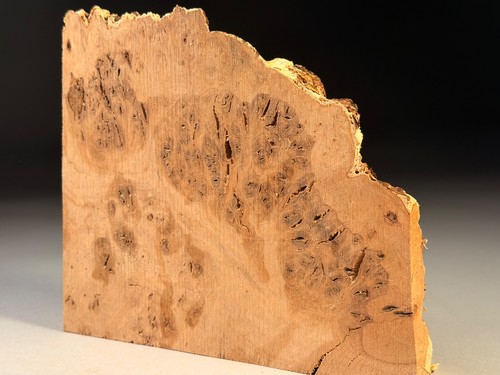 Oak burr slab live edge - burr,