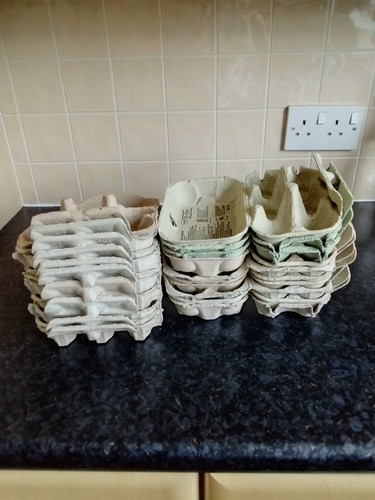 Standard pack empty egg - 20,