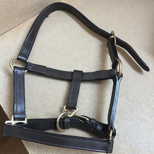Leather foal headcollar - foal,