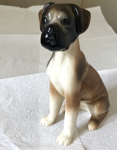 Boxer dog unbranded in - dog,